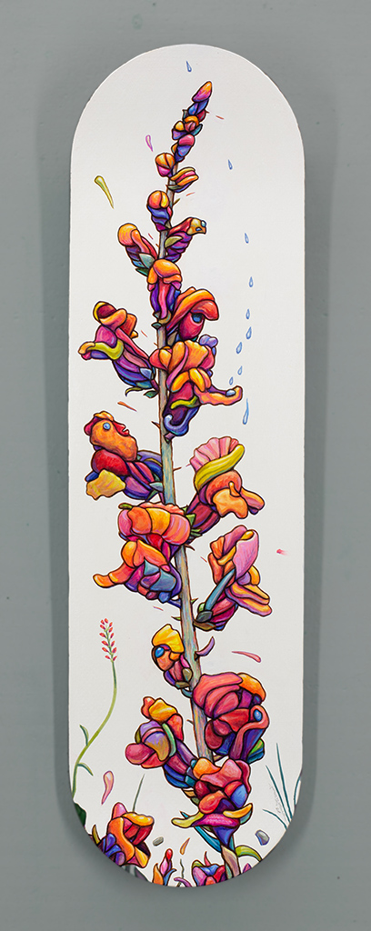 Skatedeck Blooms
